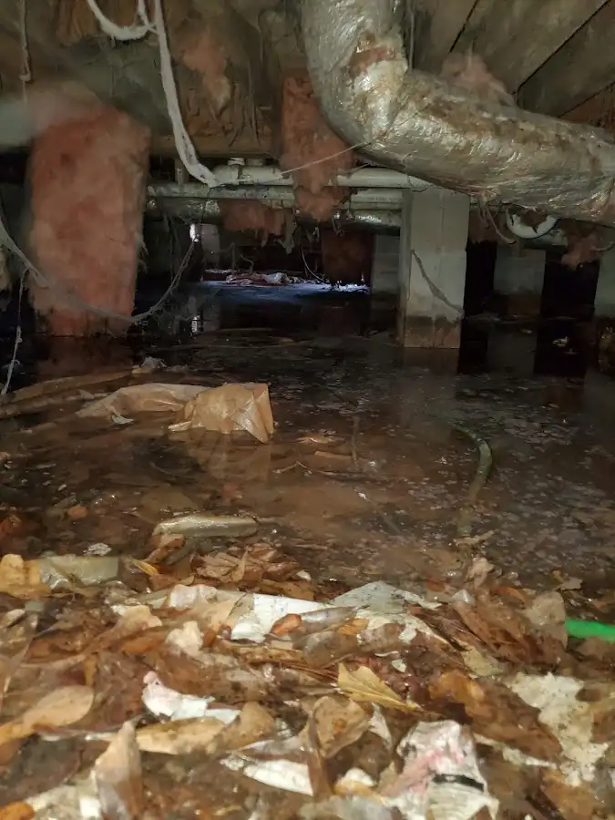 Crawl space flood assessment for Leak Detection & Repair in Ewa Gentry